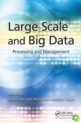 Large Scale and Big Data