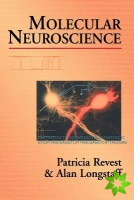 Molecular Neuroscience