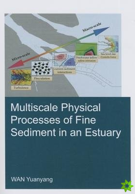 Multiscale Physical Processes of Fine Sediment in an Estuary
