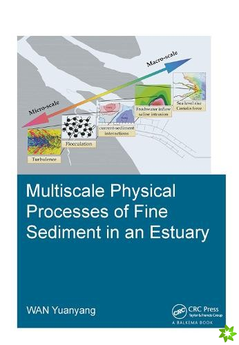Multiscale Physical Processes of Fine Sediment in an Estuary