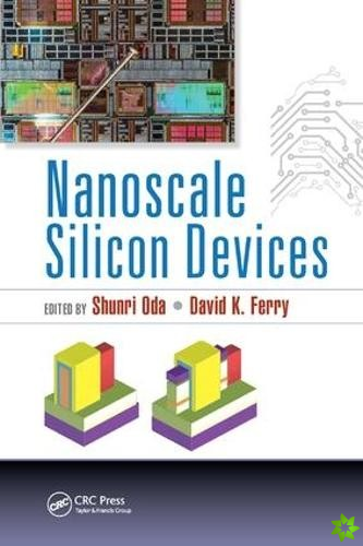 Nanoscale Silicon Devices