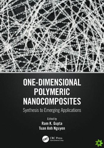 One-Dimensional Polymeric Nanocomposites