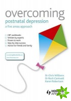 Overcoming Postnatal Depression: A Five Areas Approach