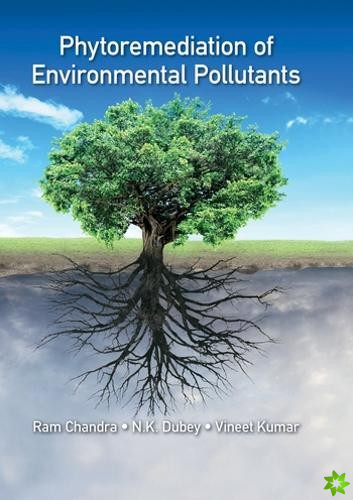 Phytoremediation of Environmental Pollutants