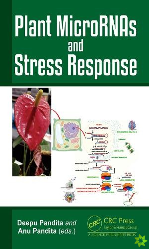 Plant MicroRNAs and Stress Response