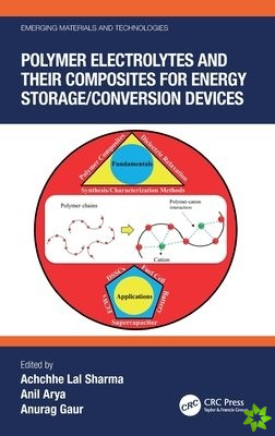 Polymer Electrolytes and their Composites for Energy Storage/Conversion Devices