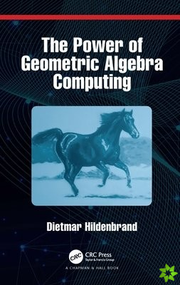 Power of Geometric Algebra Computing