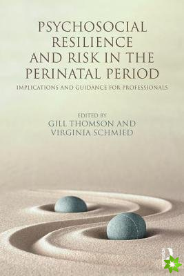 Psychosocial Resilience and Risk in the Perinatal Period