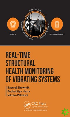 Real-Time Structural Health Monitoring of Vibrating Systems
