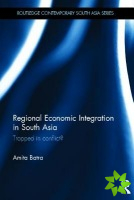 Regional Economic Integration in South Asia