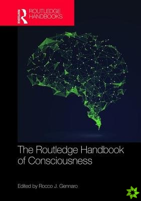 Routledge Handbook of Consciousness