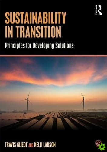 Sustainability in Transition