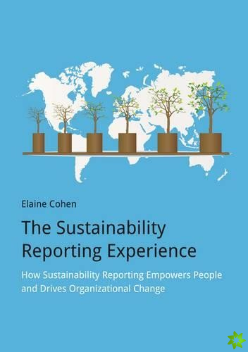 Sustainability Reporting Experience