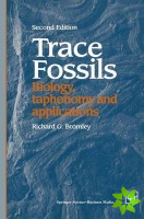 Trace Fossils