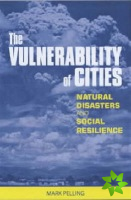 Vulnerability of Cities