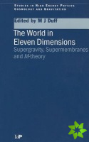 World in Eleven Dimensions