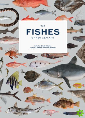 Fishes of New Zealand, The