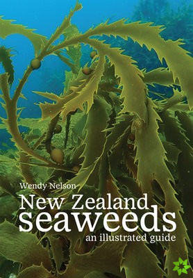 New Zealand Seaweeds