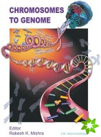 Chromosomes to Genome