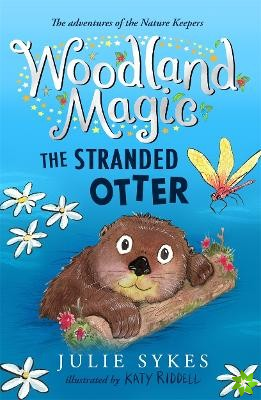 Woodland Magic 3: The Stranded Otter