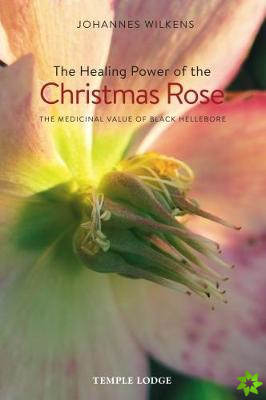 Healing Power of the Christmas Rose
