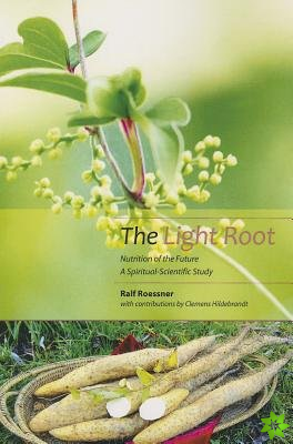 Light Root