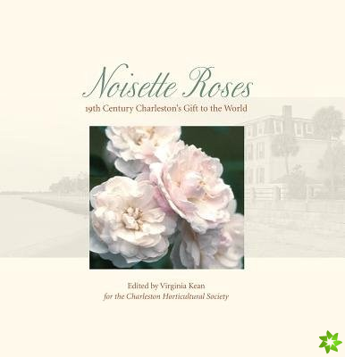 Noisette Roses