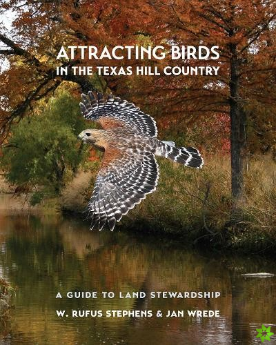 Attracting Birds in the Texas Hill Country