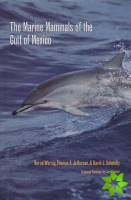 Marine Mammals of the Gulf of Mexico