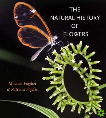 Natural History of Flowers
