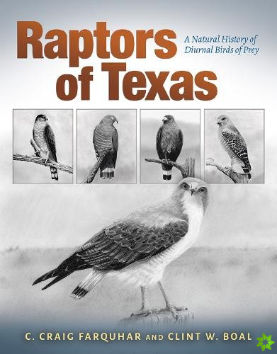 Raptors of Texas