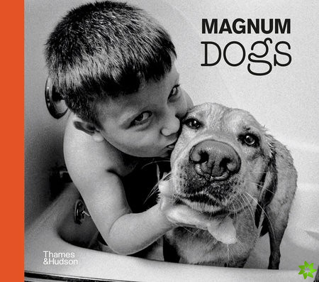 Magnum Dogs