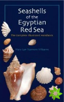Seashells of the Egyptian Red Sea