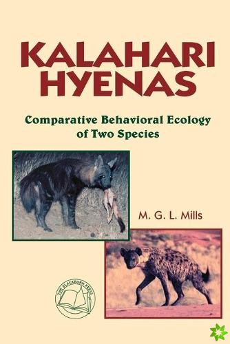 Kalahari Hyenas