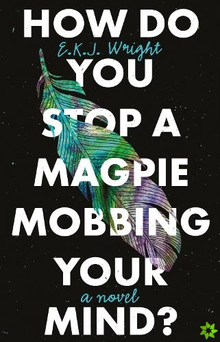 How Do you Stop a Magpie Mobbing Your Mind?
