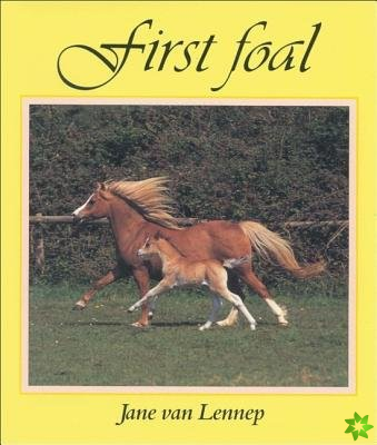 First Foal