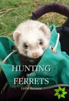 Hunting with Ferrets