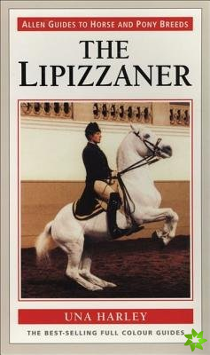 Lipizzaner Horse the