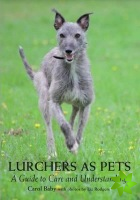 Lurchers as Pets