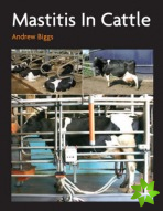Mastitis In Cattle