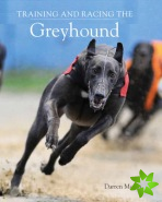 Training and Racing the Greyhound