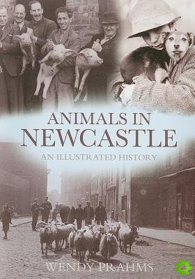 Animals in Newcastle