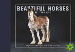 Beautiful Horses Postcard Book