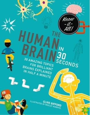 Human Brain in 30 Seconds