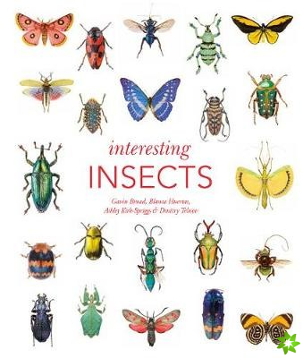 Interesting Insects