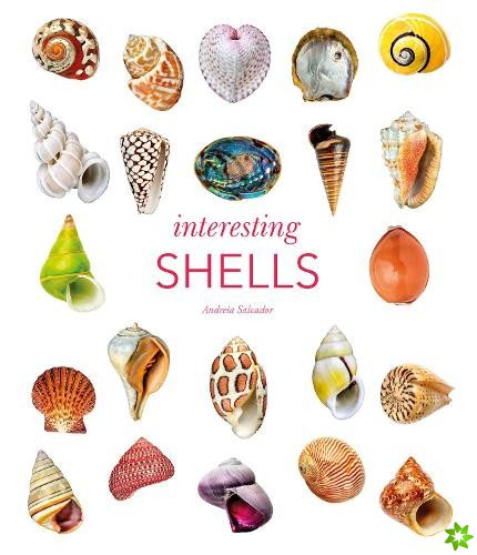 Interesting Shells