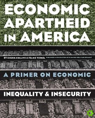 Economic Apartheid in America
