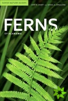 Ferns of Alabama