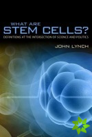 What Are Stem Cells?