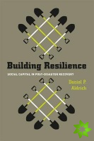 Building Resilience  Social Capital in PostDisaster Recovery